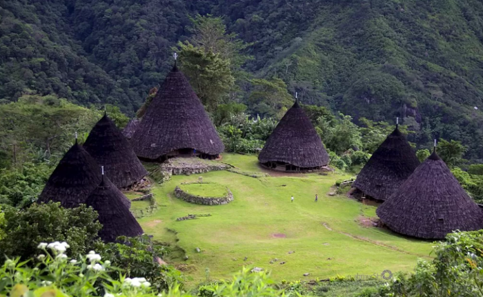 Kisah Perantau Minang yang Bangun Desa Adat Waerebo di Flores